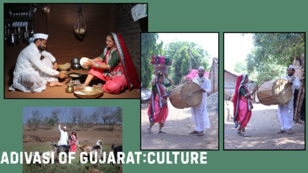 adivasi vasava gamit Culture