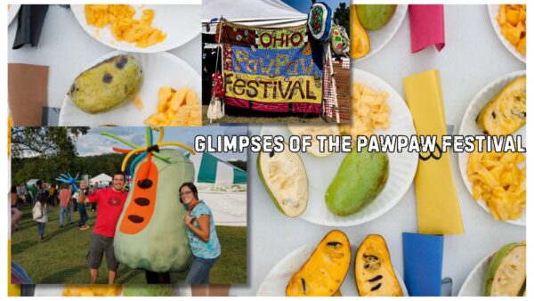 Pawpaw Tree and Native American Tribes:Pawpaw Festival Through Time